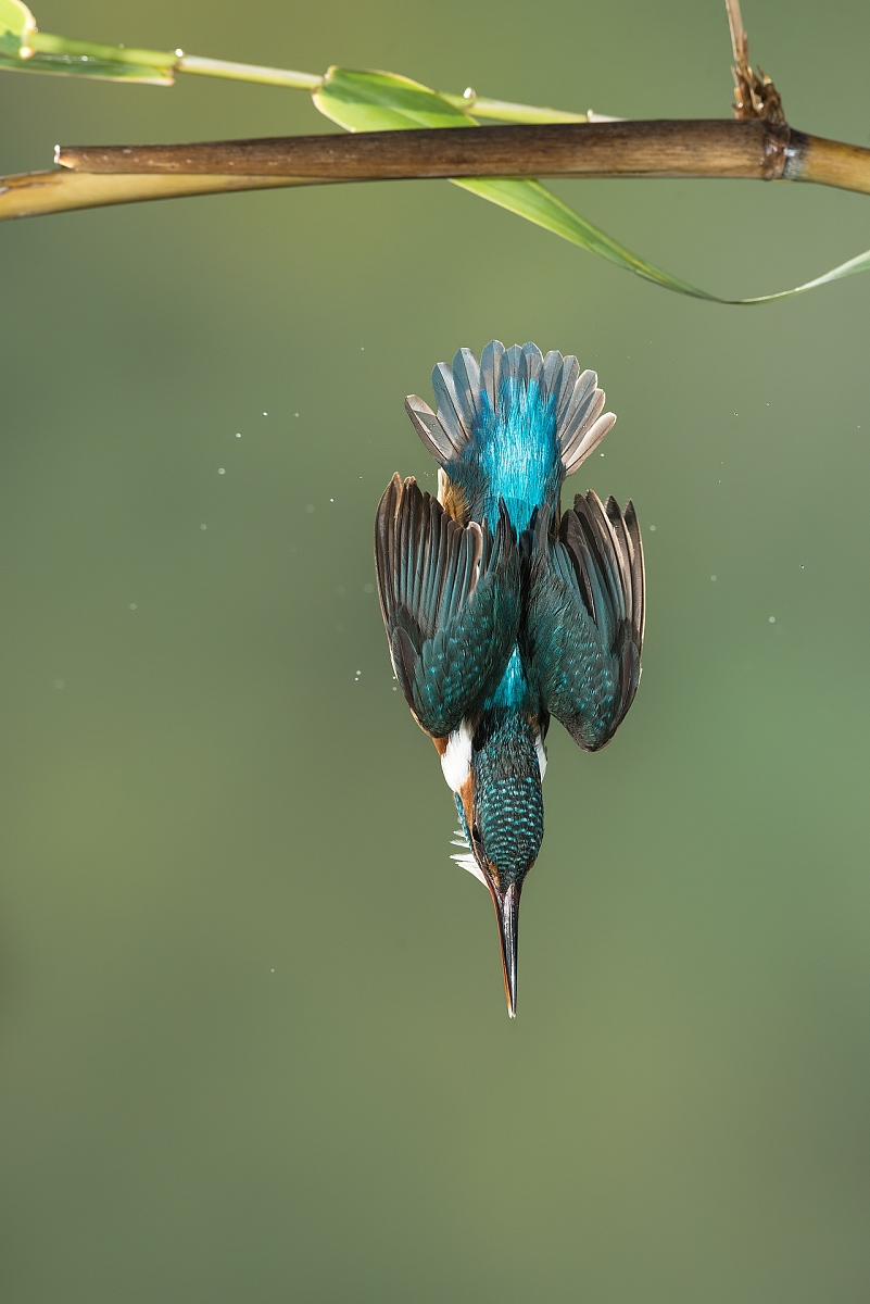 GTA6什么时候发布