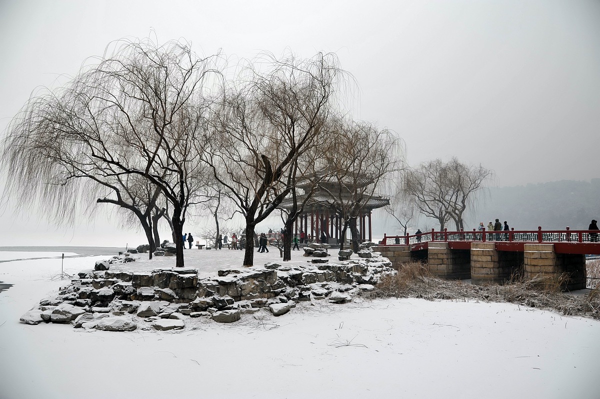 《湖心亭看雪》理解性默写：赏析白居易笔下的雪景与人生感悟