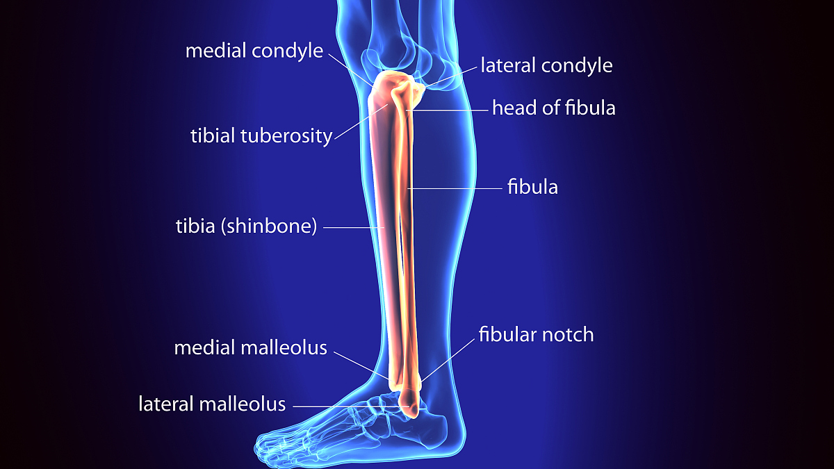你好您好！有什么可以帮到您呢？我的髌骨筋膜这些部位疼是什么原因呢？