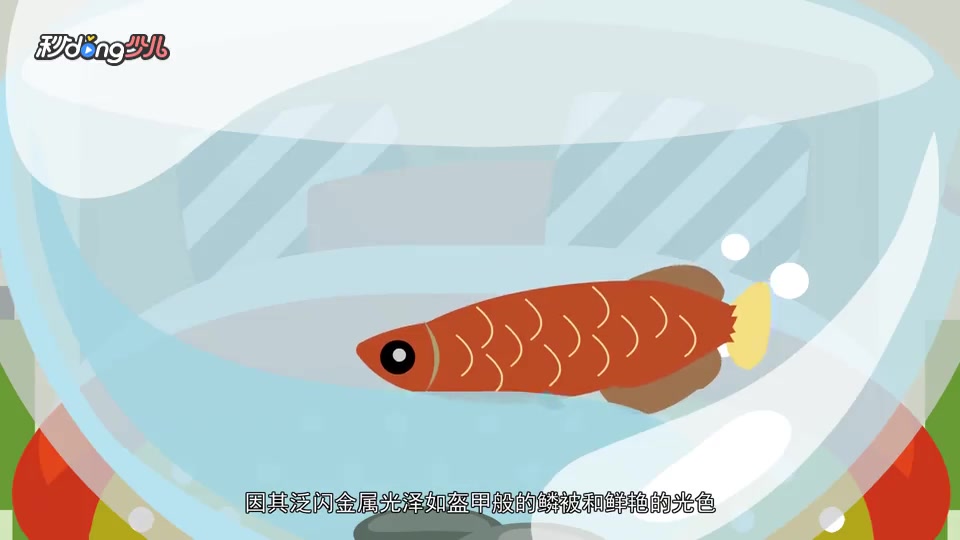 盘点三种特殊的骨舌鱼