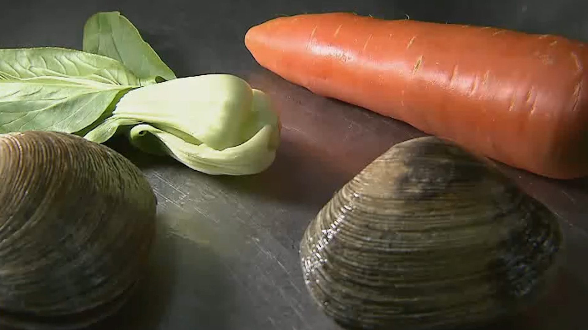 在威海不但可以观赏到大天鹅,还可以吃到天鹅蛋,你信不信?