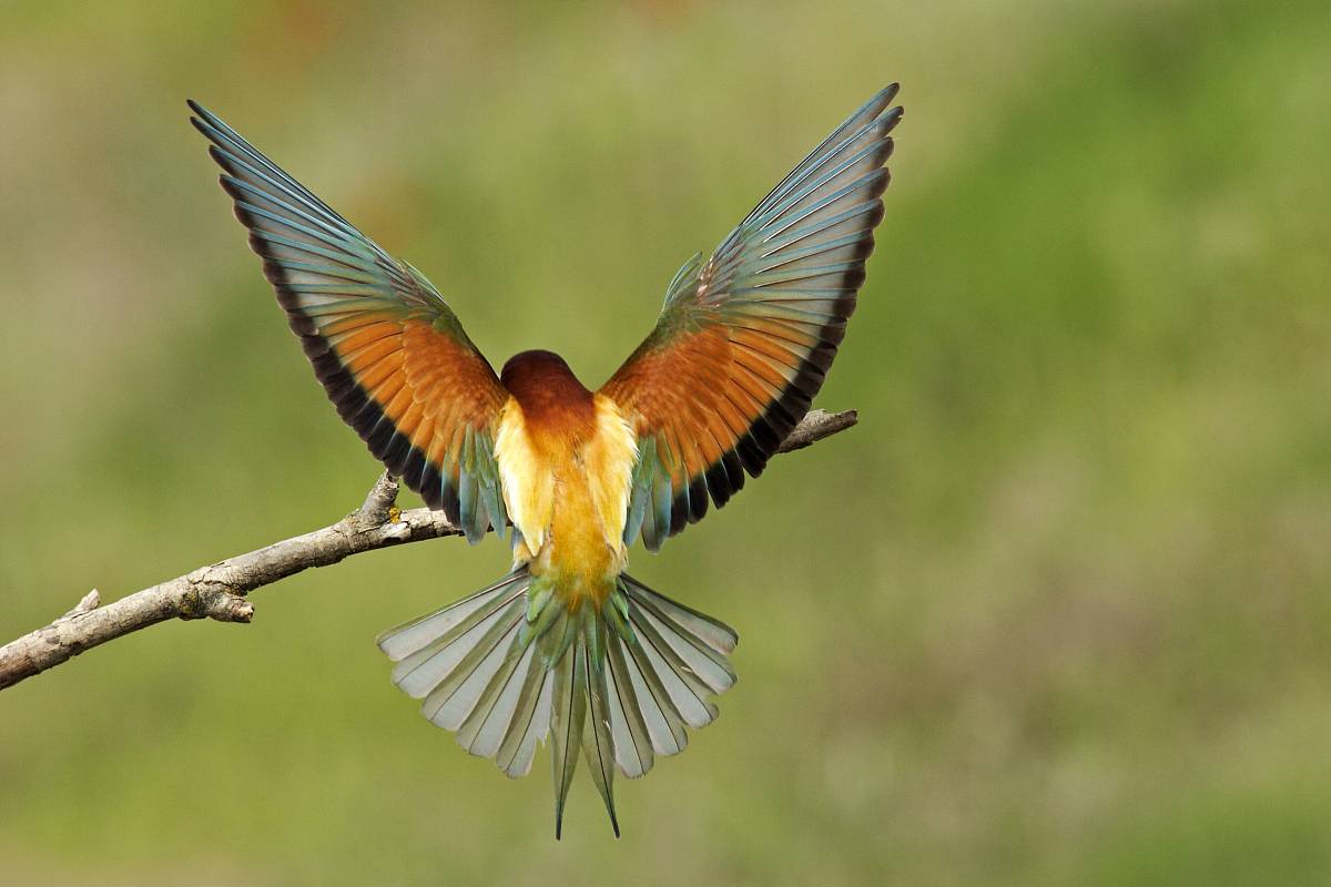 Kinderzimmer Lichtschalter Dekorieren: 5 Tipps für süße Aufkleber