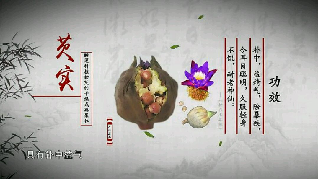 看本草中国之芡实
