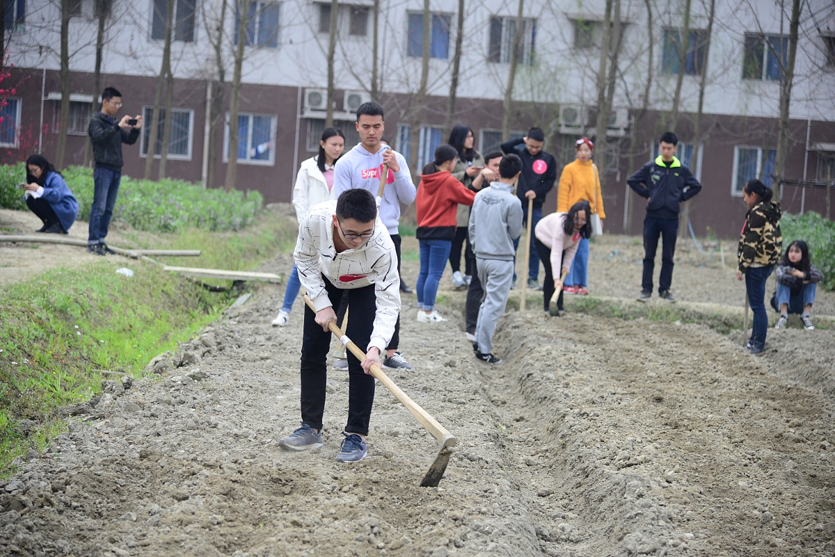 四川计算机及应用专业学校哪家强这几所学校别错过!