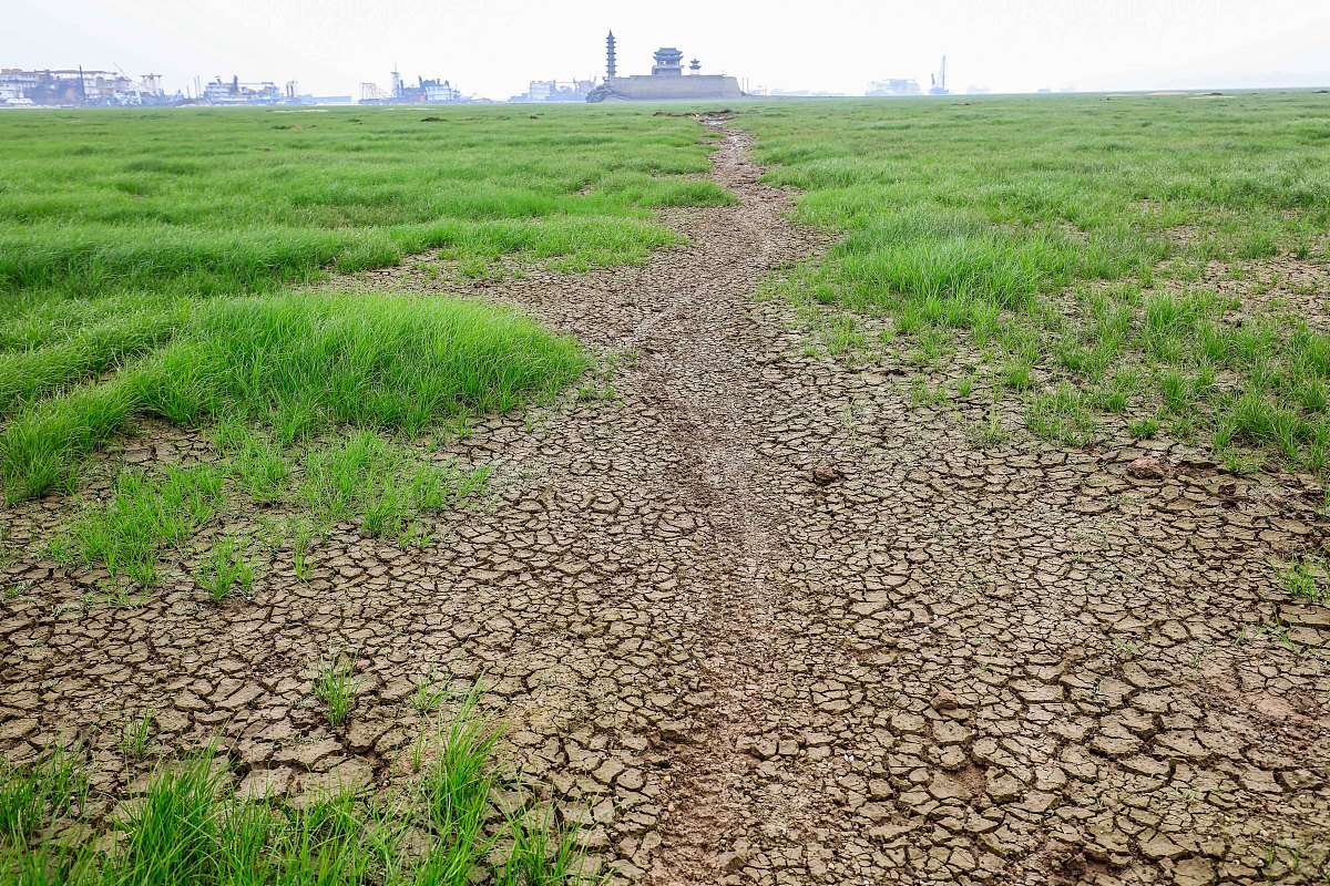 中文润色 原因可能是在2022年7月到10月之间的气象干旱以及持续的高温导致在鄱阳湖区域的大部分地区的土壤含水量持续降低地表植被能获取的水量也就持续的减少。从图3-4中可以看出植被健康指数大量减少的区域主要为原鄱阳湖水体覆盖区域原因可能是：鄱阳湖水面下降河床土壤露出河床上生长了大量植物但是由于生长的植物主要为草本植物而且少量木本植物生长时间有限根系较浅且越是接近土壤避免的土壤含水量下降的越多所以该