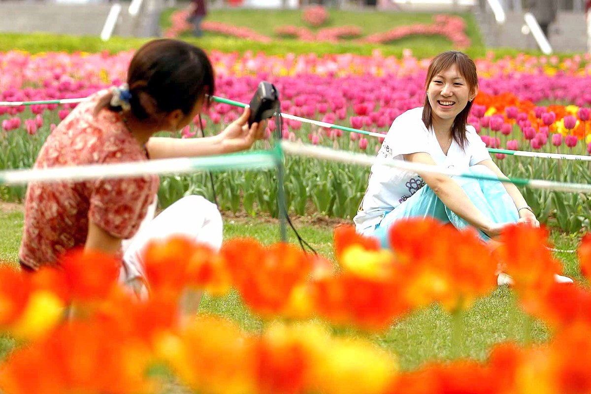 首届世界名花博览会各国名花本周起渐入佳期.2004年4月21日,畅游在鲜