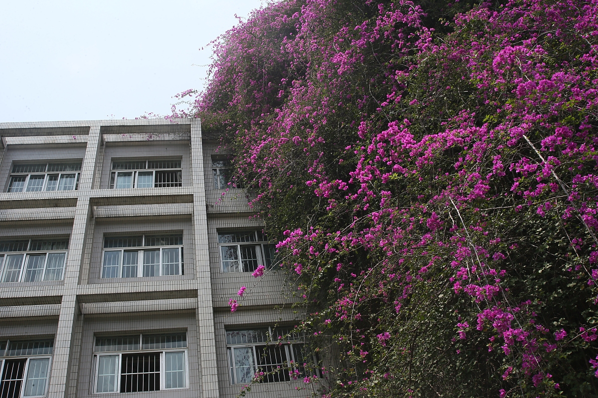 广西科技大学鹿山学院工程管理专业怎么样？值得学习吗？