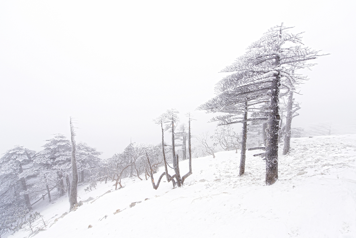 ***_***2016年01月21日,云南省大理白族自治州,苍山雪景