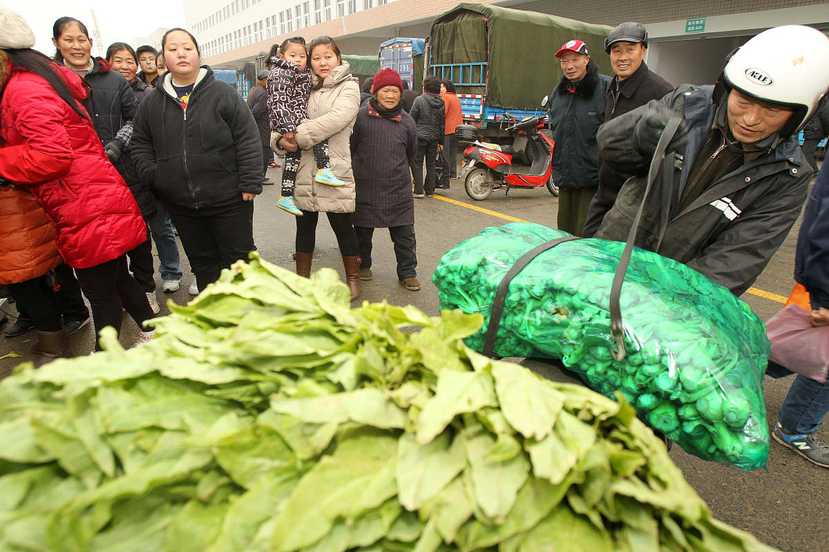 物流管理项目成功关键：范围、进度、成本、干系人与风险控制的协同关系