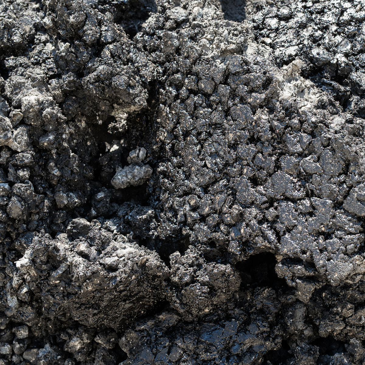 煤的催化热解和催化气化技术研究：高效利用煤炭资源的关键