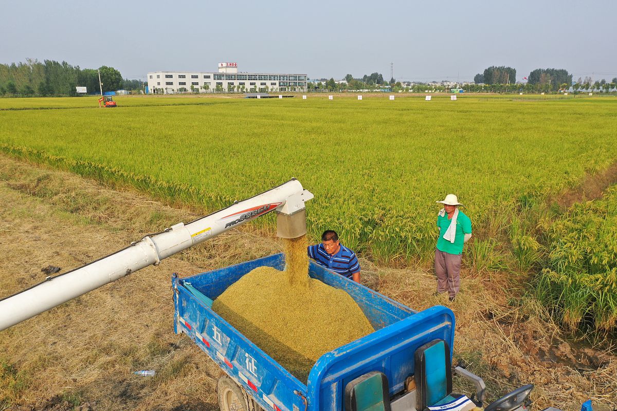 重庆农业学校：农村机械使用与维护教学质量助力农业现代化