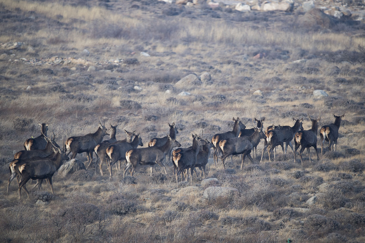 银川人口数量：2020年最新数据