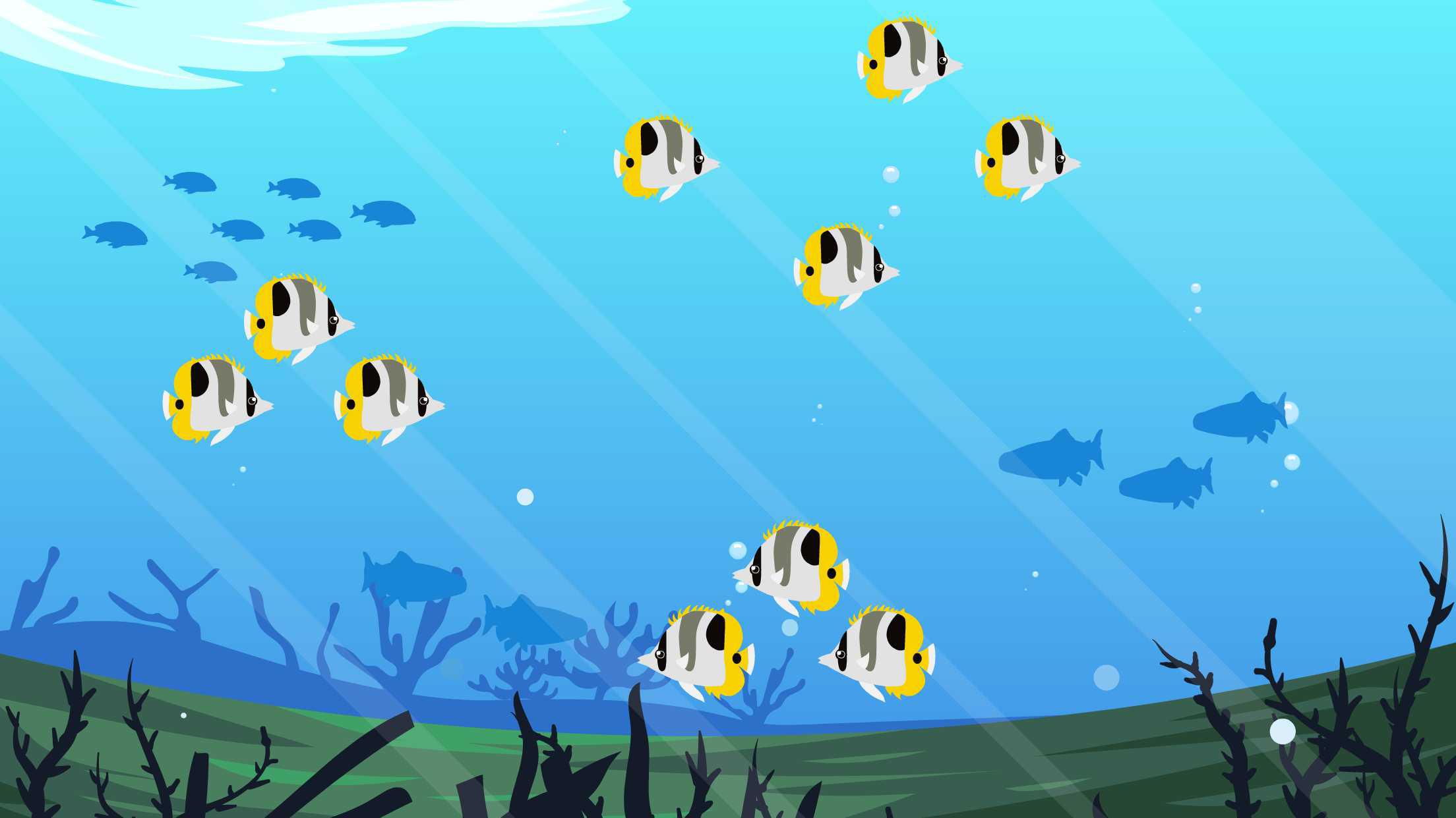 一分钟了解蝴蝶鱼