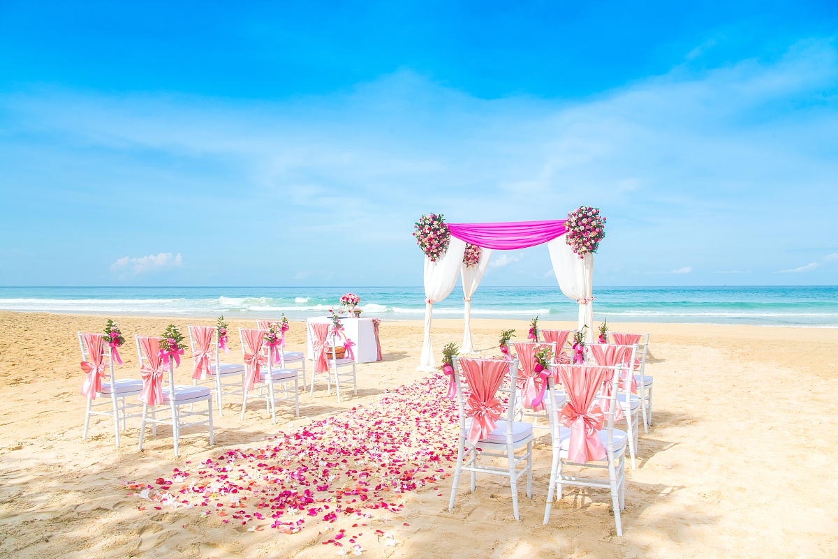 httpssmjrunBgjwu3D-Qpw Blue ocean blue sky white beach of Maldives pink roses of different sizes on the beach blue roses white roses many tiny and colorful luminous particles illuminated by the Milky
