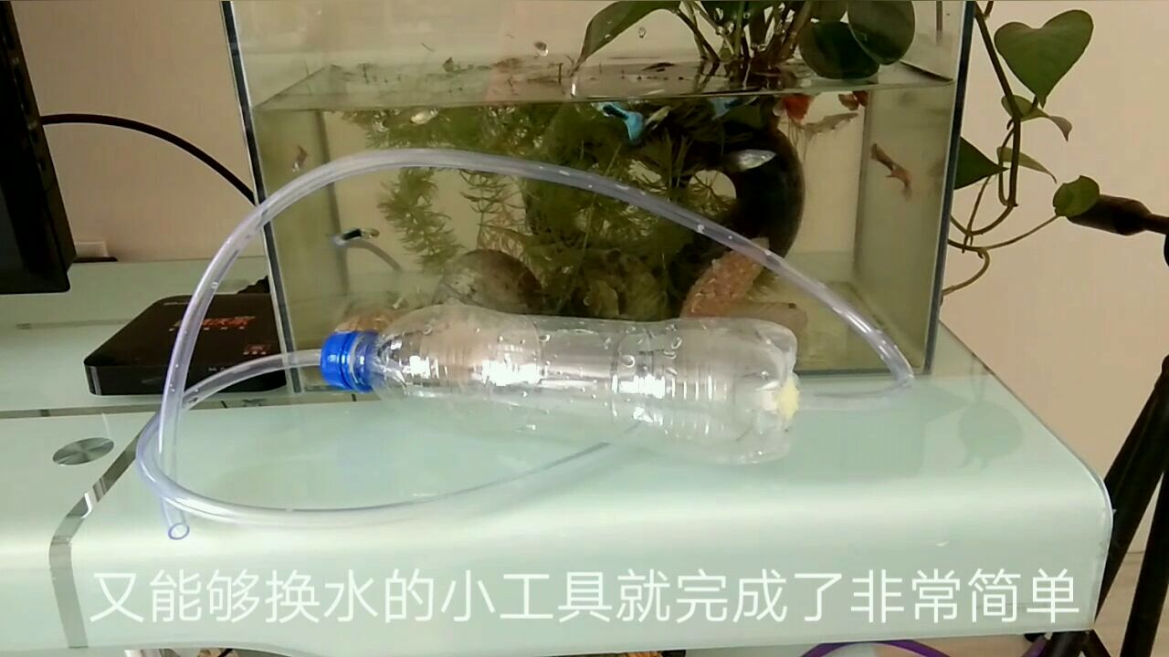 自制鱼缸清理神器,又能排污又能换水,还省事不用电。