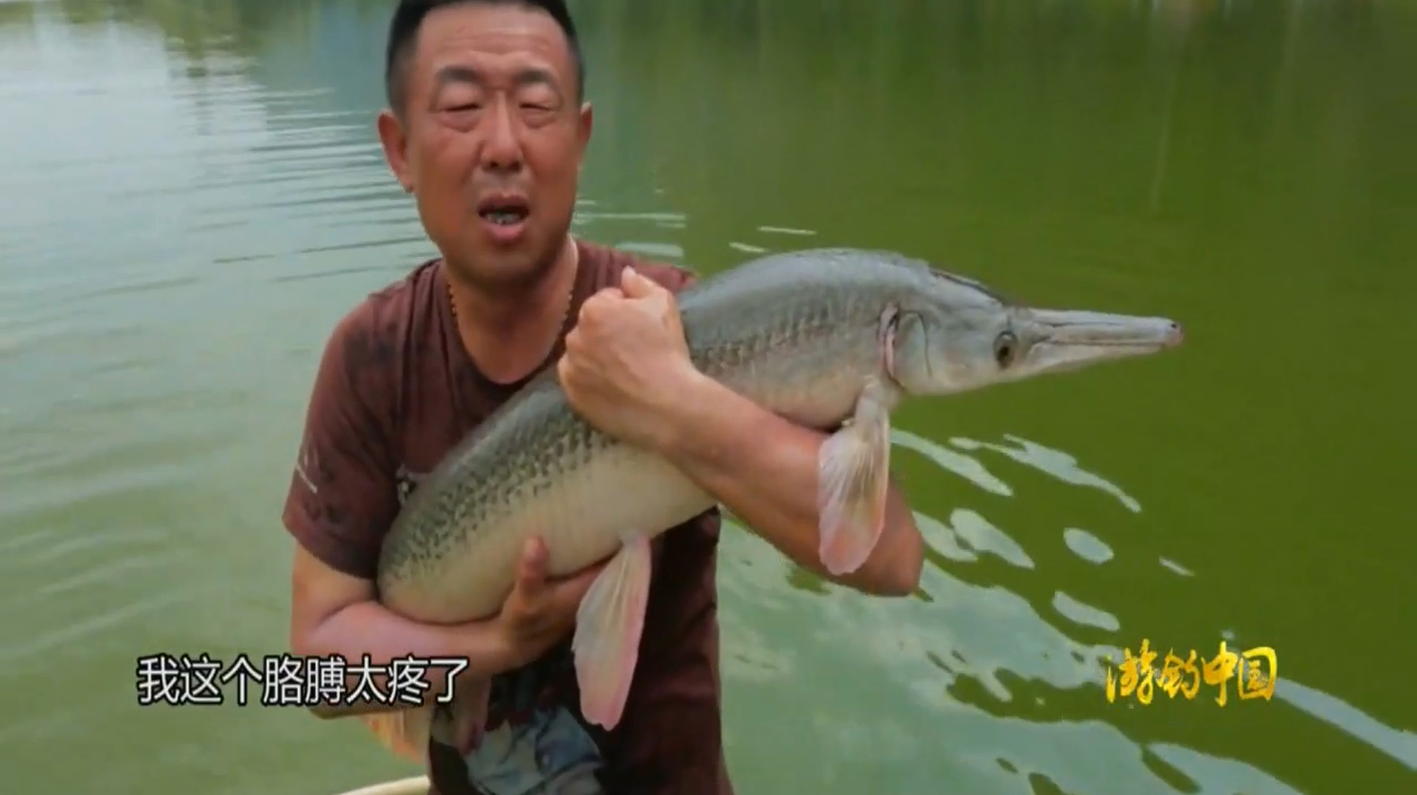 这条是什么鱼?听说十几斤重的鱼跟成年的鱼比只能算鱼苗!牛逼