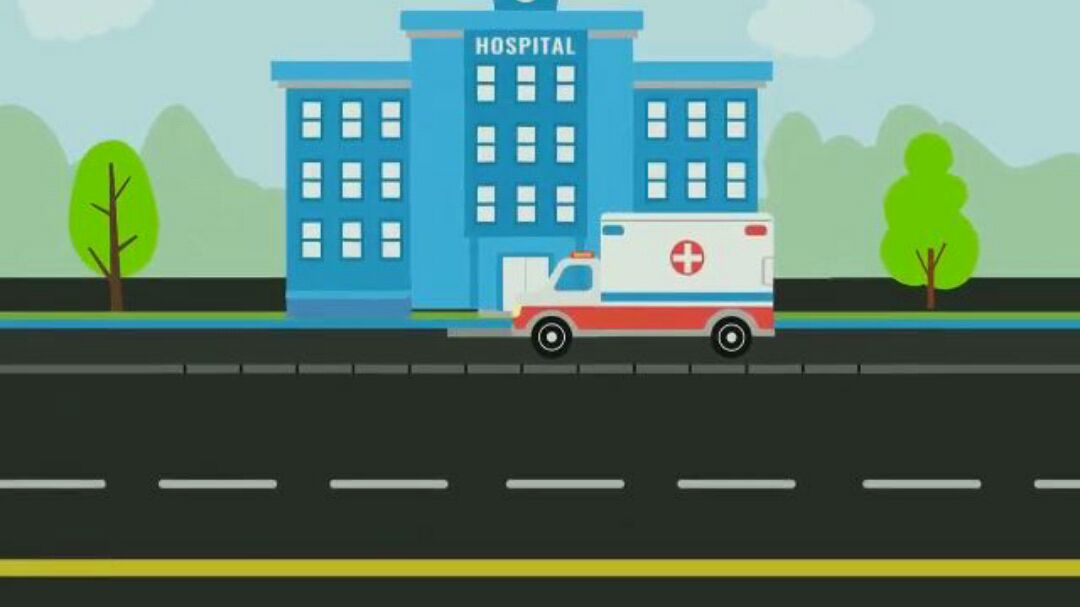 十一条鱼的故事分享