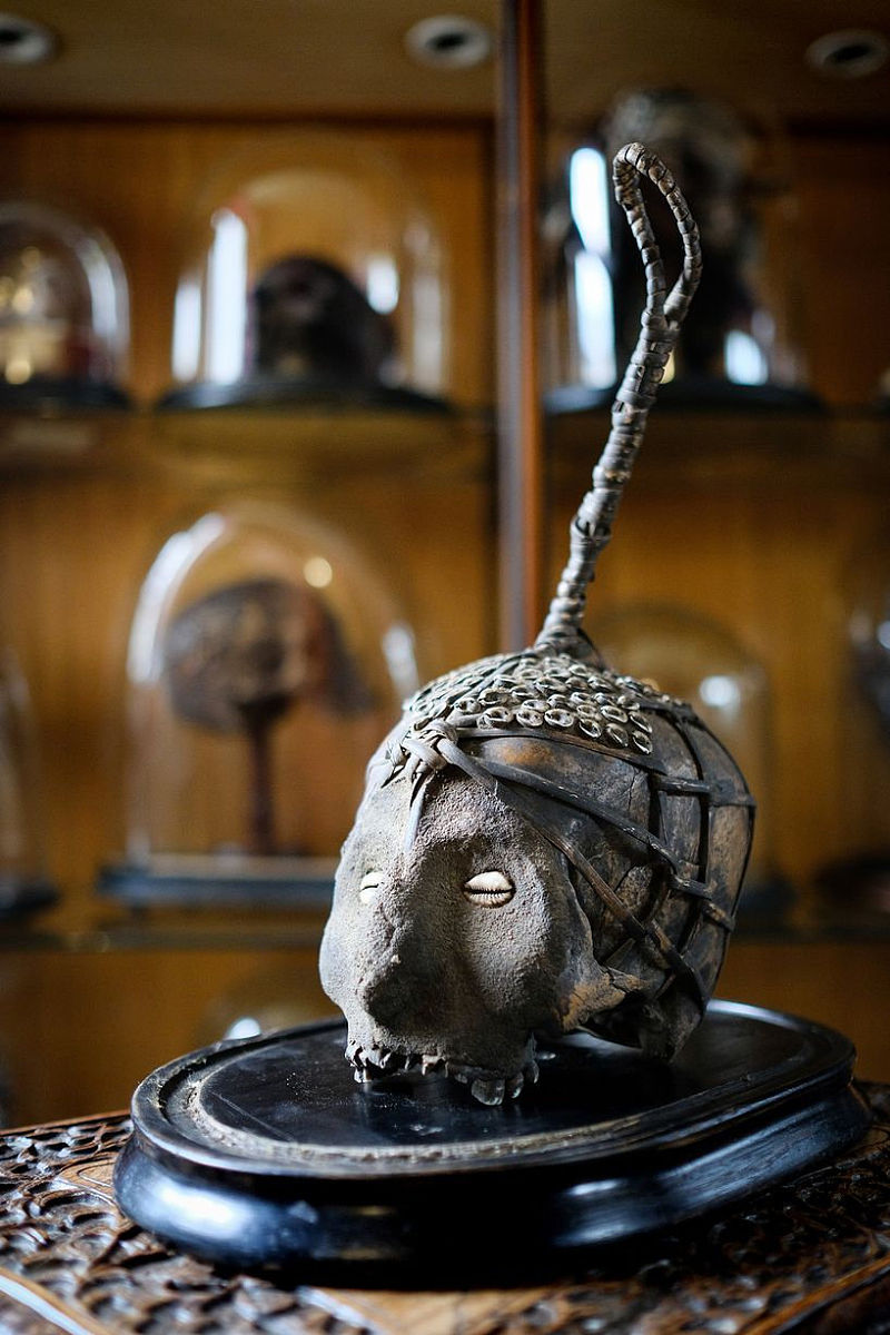 咸阳师范学院2019有哪些专业及什么专业好