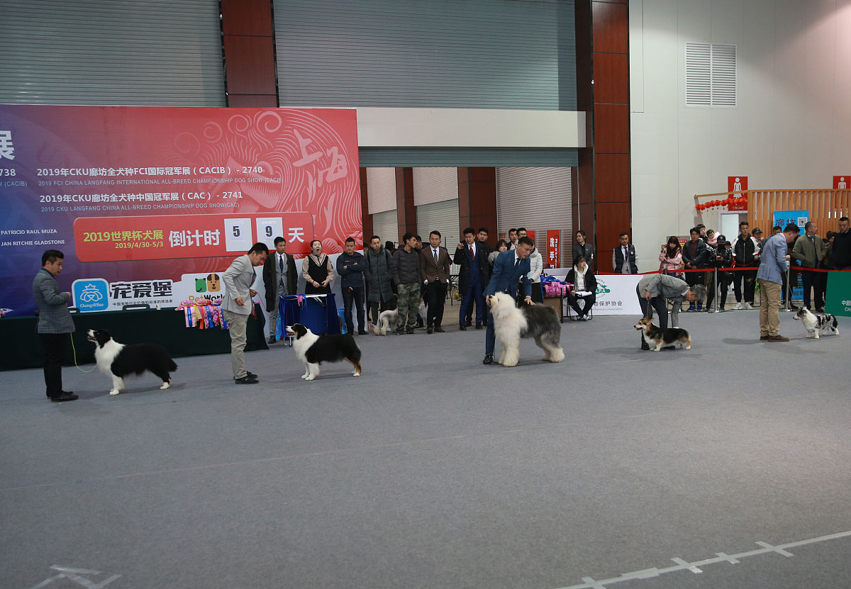 山西旅游职业学院会展策划与管理专业都学些什么
