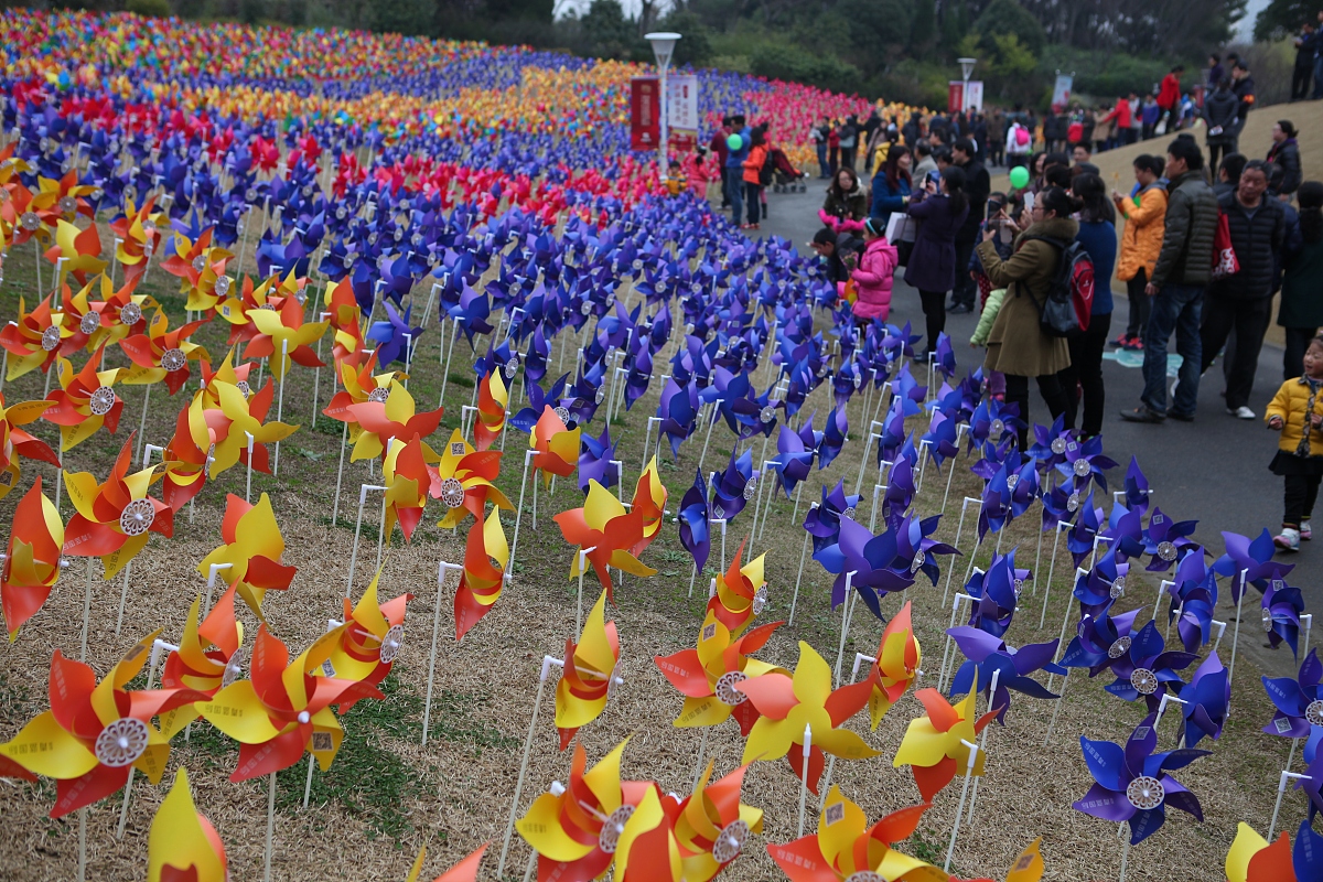 2015年3月15日,上海,为了配合郁金香花展,主办方在公园里一个小山坡上