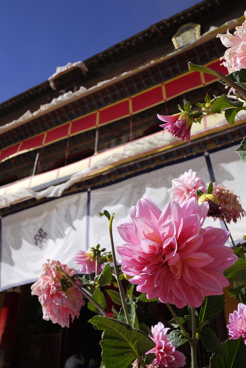 ***_***白居寺属全国重点文物保护单位,位于西藏江孜县境内.十五世纪