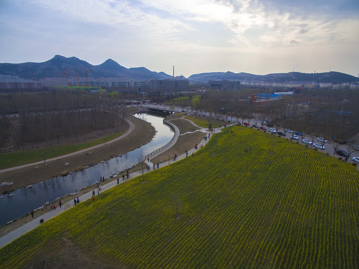 山东有哪些开设交通专业的学校？