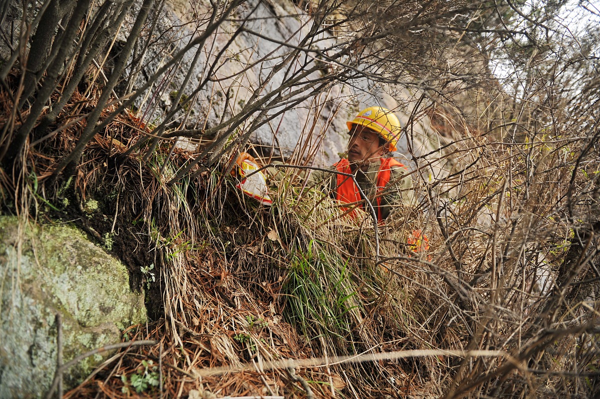 一趴是什么意思？方言详解及文化内涵