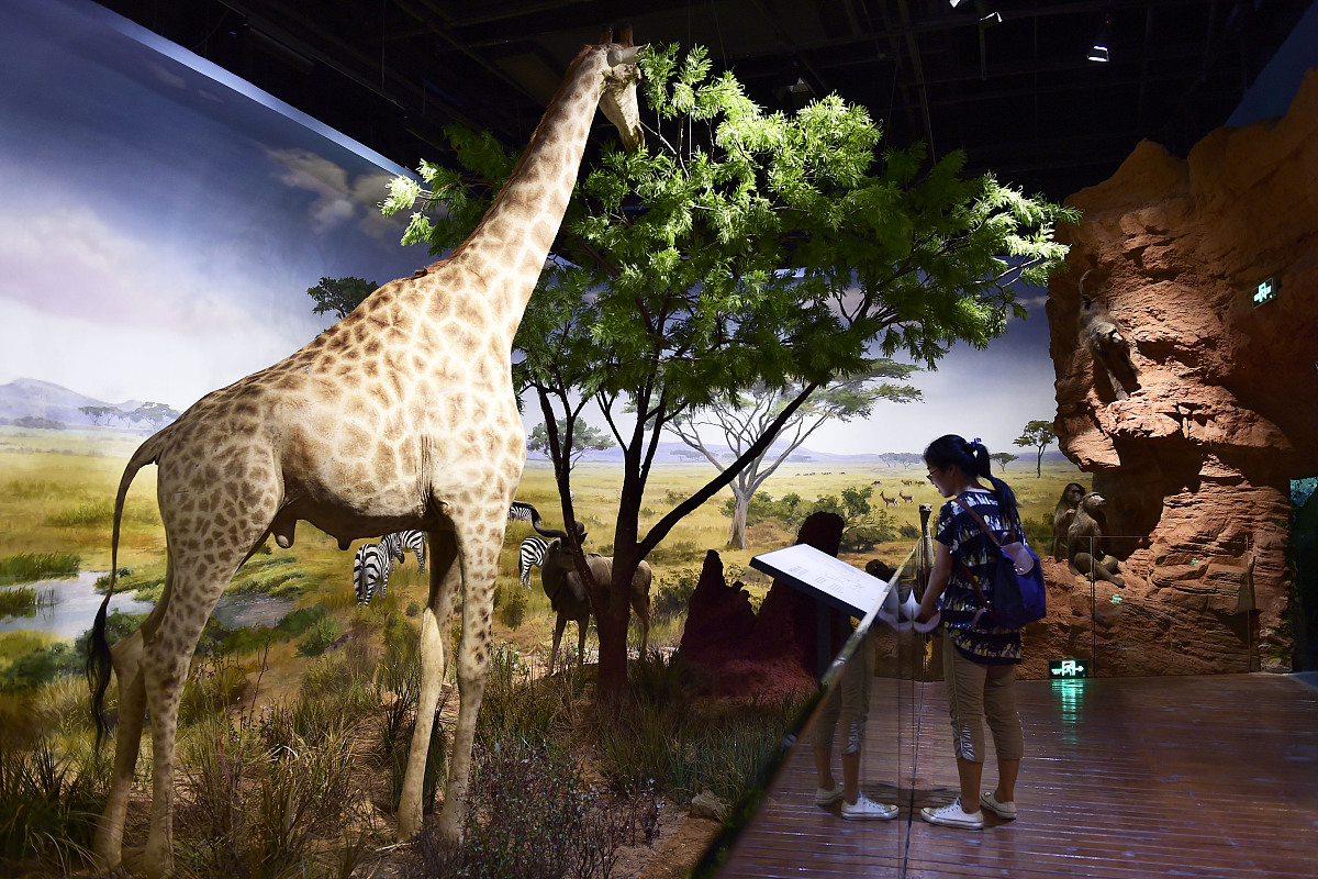 你现在是一名产品设计师，请你设计一款结合秦岭野生动物园特点的产品