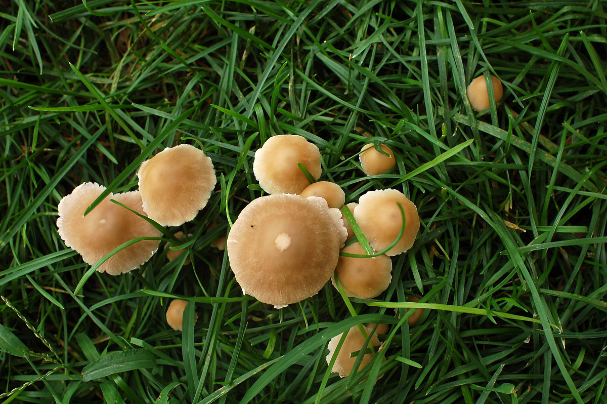 湖南助产专业学校推荐：哪所学校最适合你？