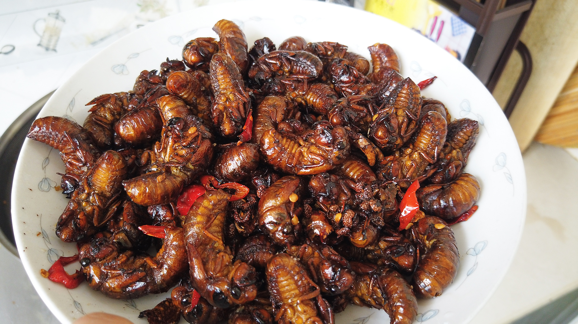 煸炒知了猴太香了,入口嘎嘣脆,真是人间美味,你想吃吗?