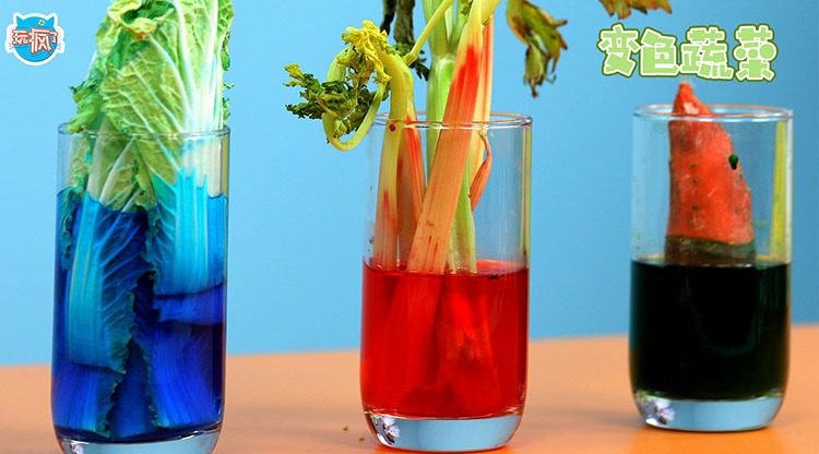 在水中种出彩色蔬菜