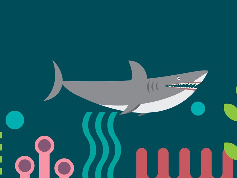 鲨鱼为什么会吃人?