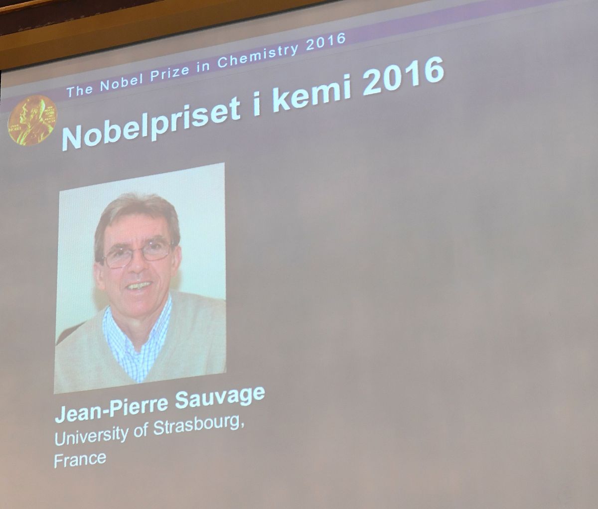 8486元项目费用分解：复印费、设计费、广告费占比