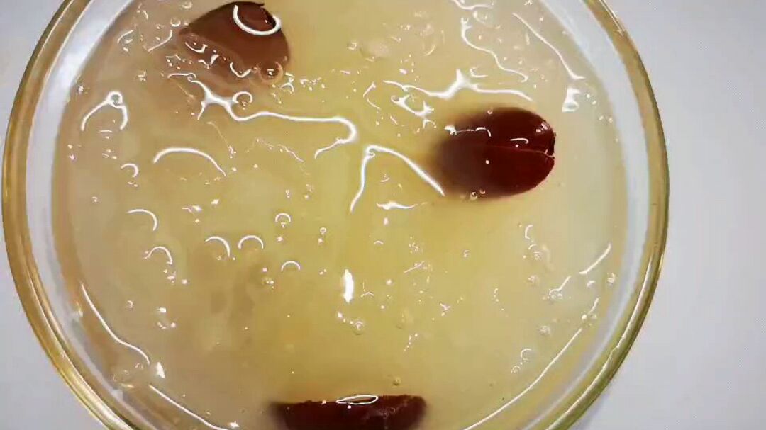 红枣银耳汤,女生必备,愿每一个女生都能被温柔相待