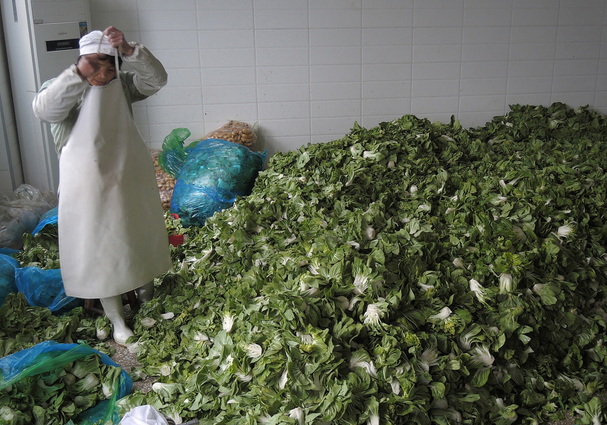 食堂三月自检报告：卫生、防蝇虫、菜品改善