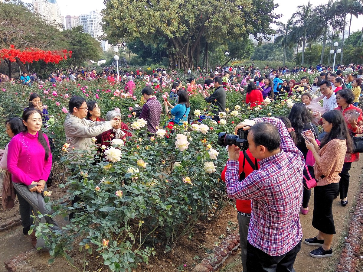 儿童发烧怎么办？详细应对措施及注意事项