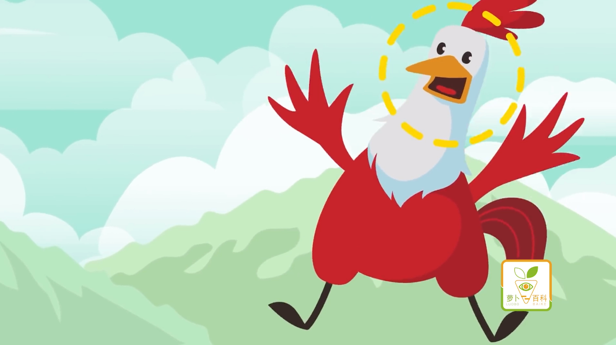 公鸡的叫声那么响亮,为什么没有把自己震聋?