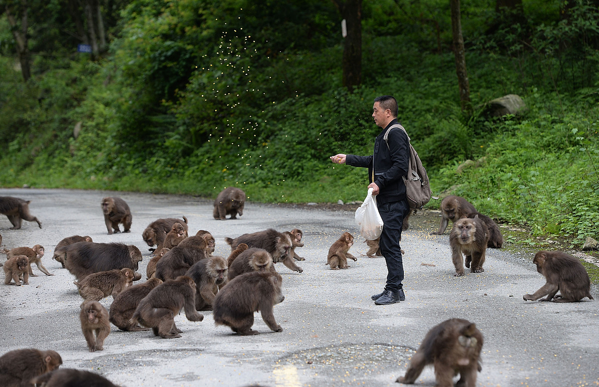 成都希望职业学校护理专业招生如何
