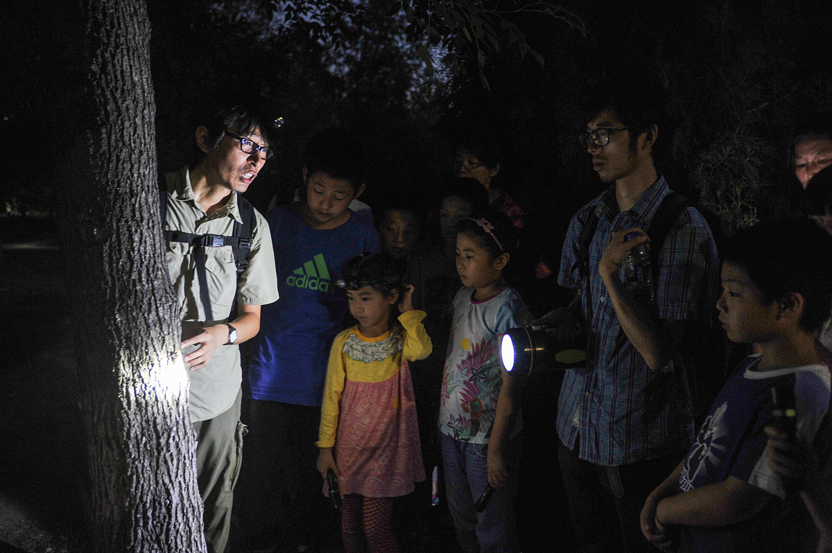 小学生夏令营晚上有什么能体现特色的活动