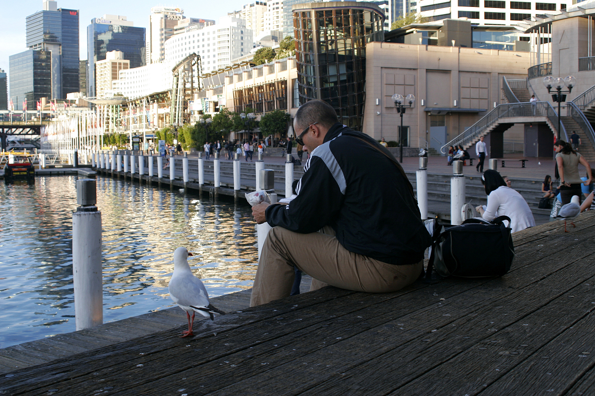 ***_***2008年11月11日,悉尼情人港(darling harbour )世界著名的几大