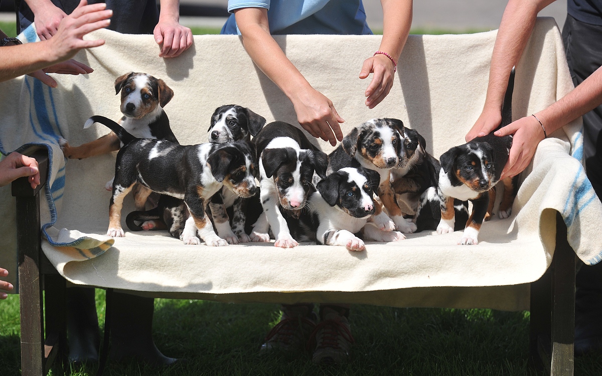 思妍名字含义解析：寓意聪明美丽、智慧优雅