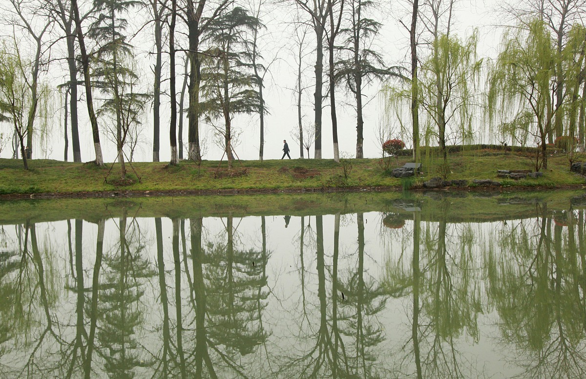 写一首关于春雨的现代诗