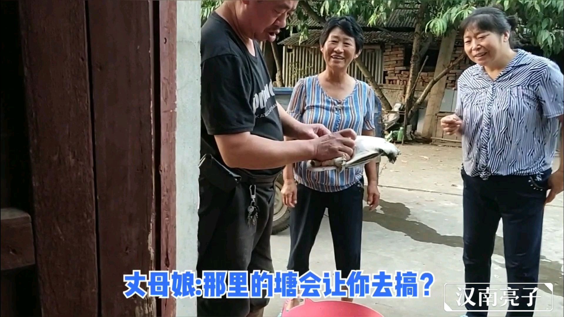 小伙钓获4斤野生甲鱼,看看鱼贩多少收走?
