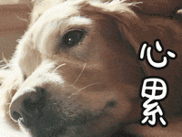 過年，真的是且甜蜜且煩惱的一件事吶！