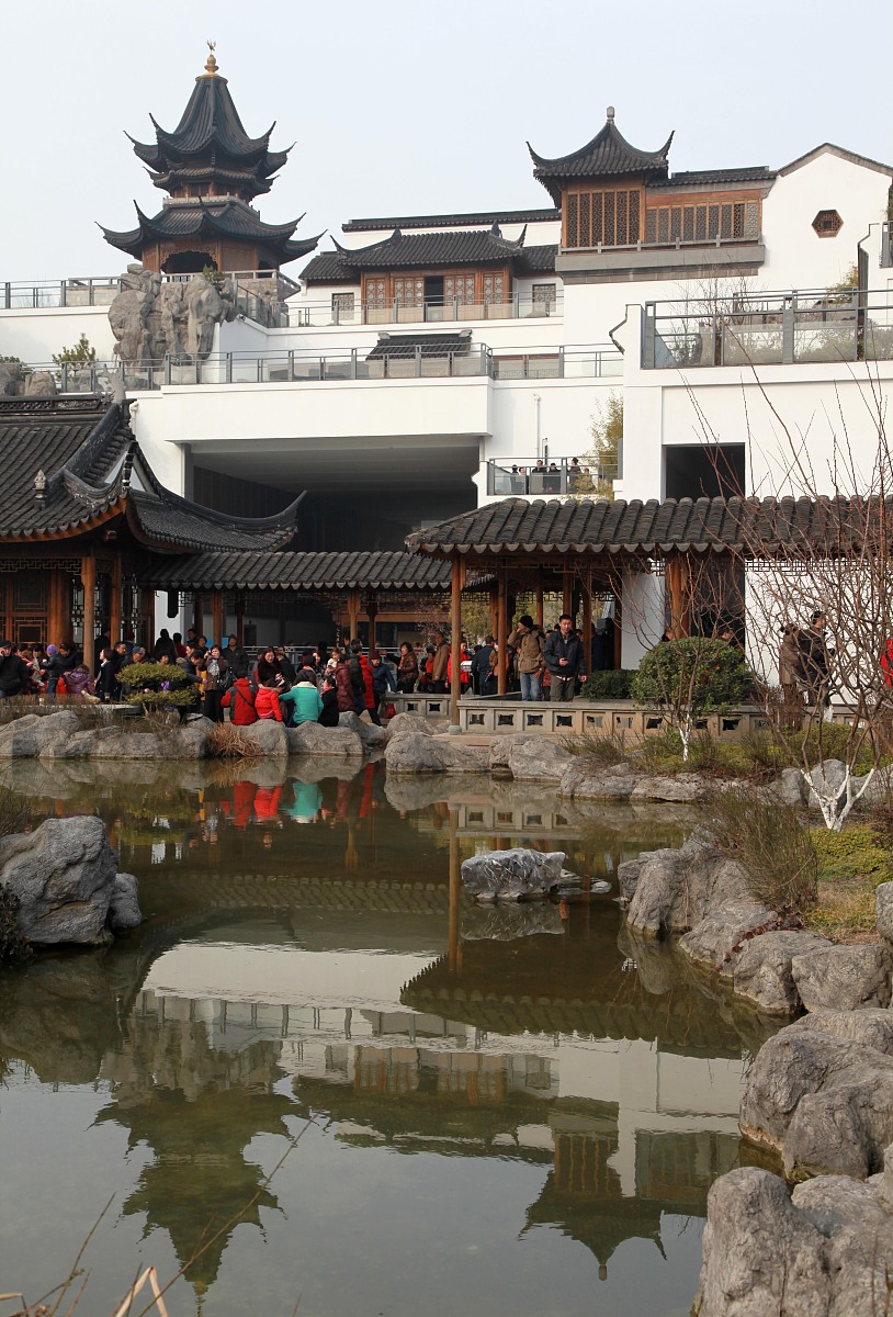 红楼梦：中国经典小说，家族史诗，爱情与命运的交响曲