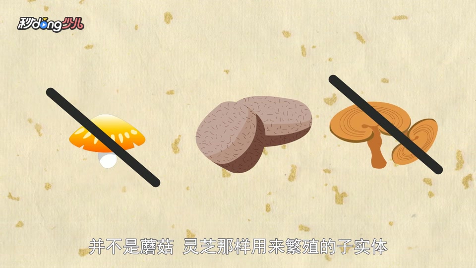 「秒懂少儿」茯苓和龟苓膏有什么关系吗