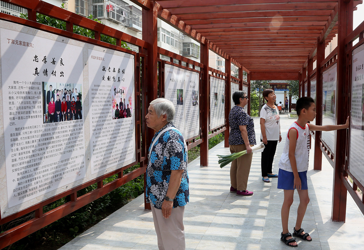 长安区塘南村老年文化建设问题与对策分析：选题依据