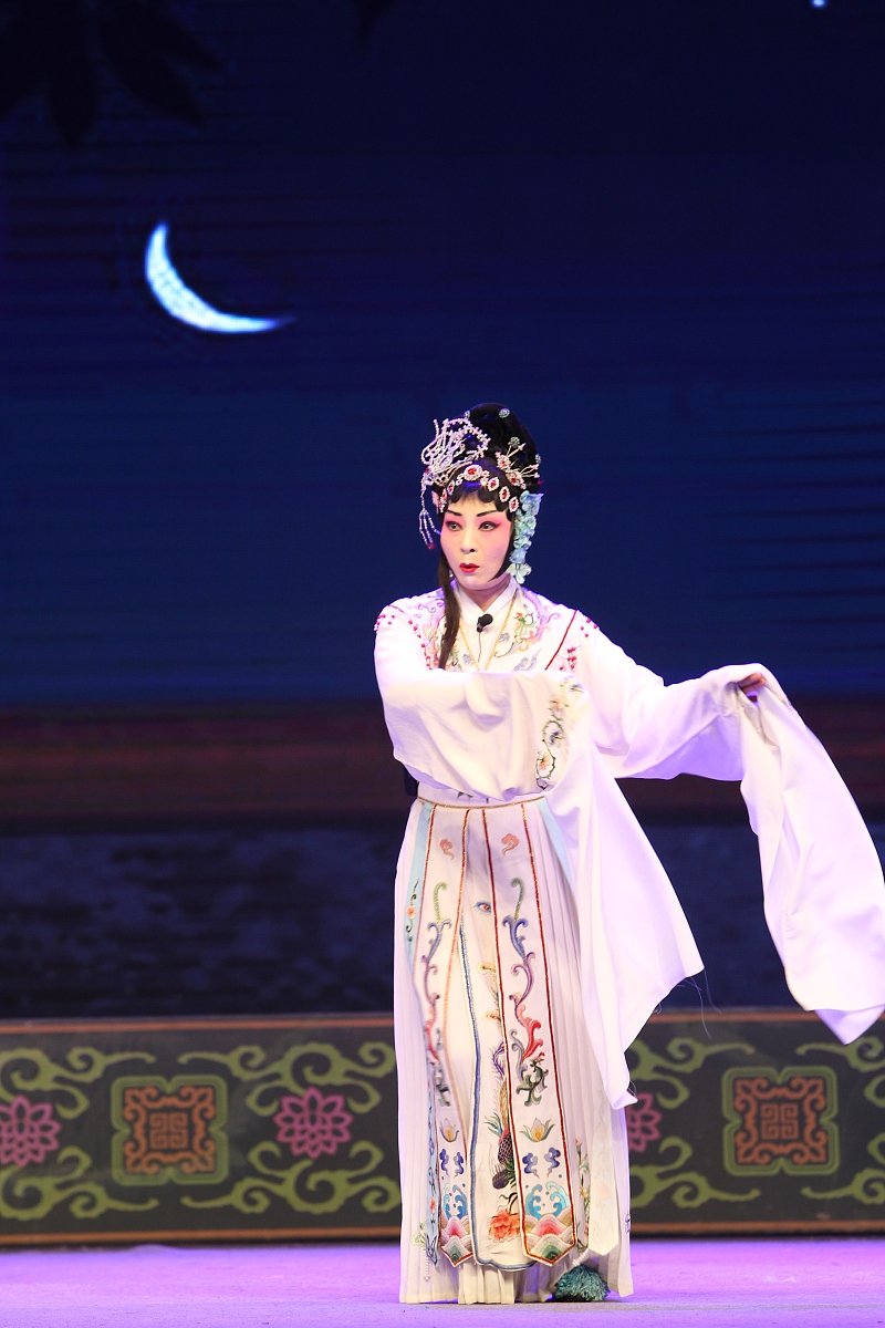 河南女子职业学院戏曲表演专业：招生要求、优势及发展前景