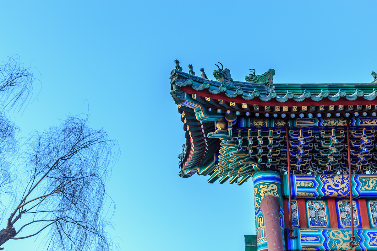 北京航空航天大学北海学院城市规划专业就业前景分析 - 未来发展趋势