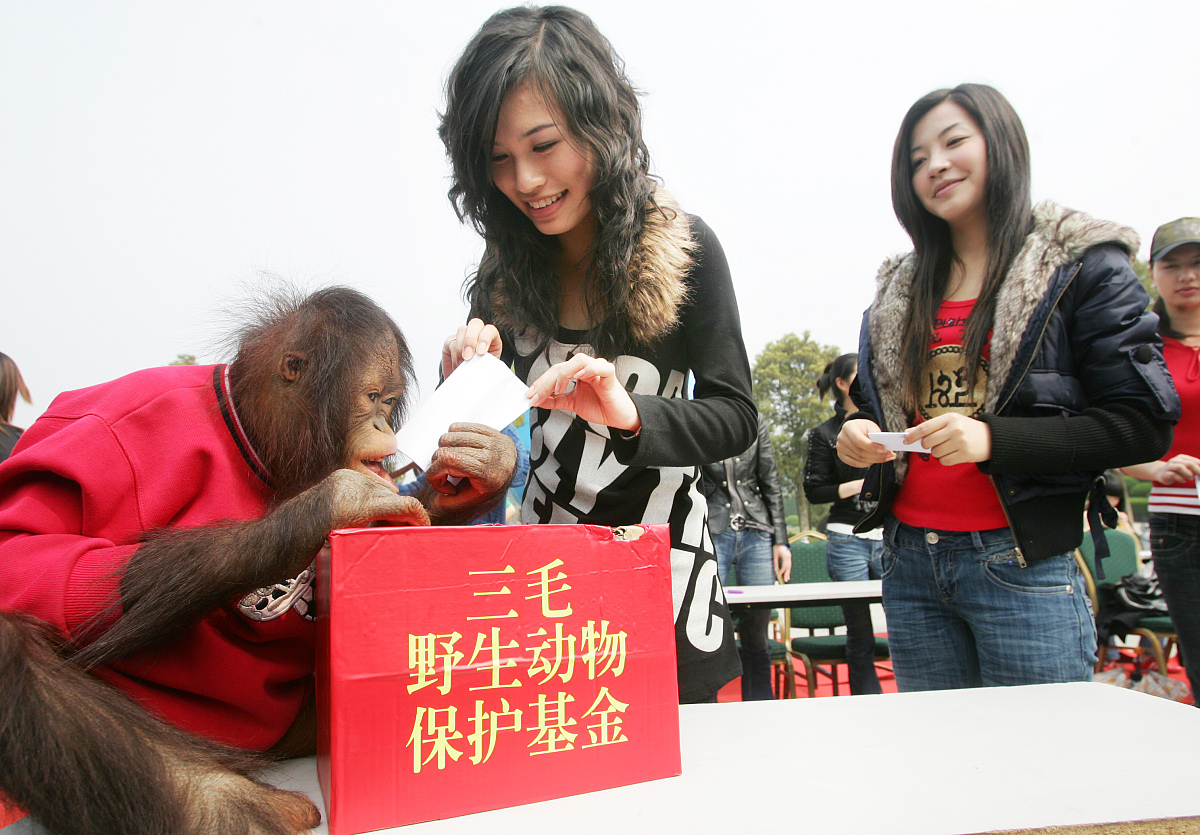 浙江旅游职业学院旅游英语专业就业方向及前景